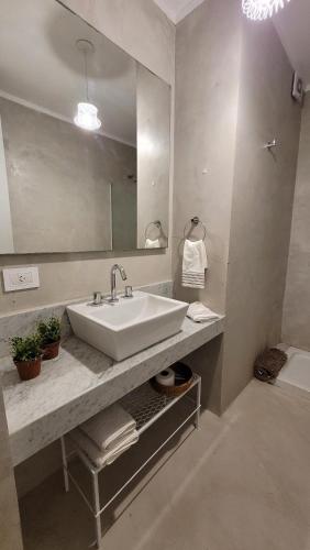 uma casa de banho com um lavatório e um espelho grande em Pleno céntrico Gualeguaychú em Gualeguaychú