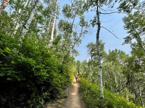 Fotografie z fotogalerie ubytování Park City Ski In Out Studio at the base of PCMR v destinaci Park City