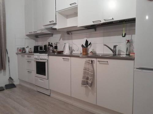 Kuchyň nebo kuchyňský kout v ubytování A modern flat in Helsinki