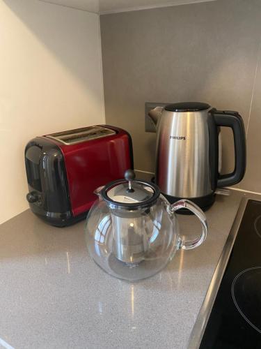 日內瓦的住宿－HOCORAS Apartment，厨房柜台配有茶壶和烤面包机
