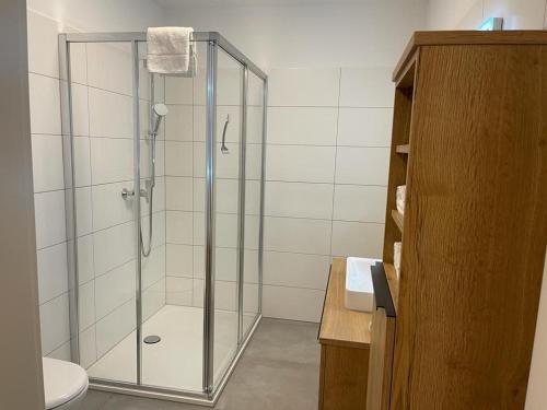 a bathroom with a glass shower with a toilet at Sonnseit 21 in Grossarl