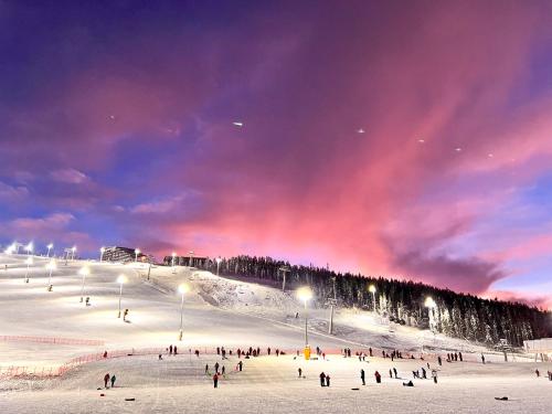 a group of people on a snow covered slope with lights at Chalet Auroras - Top quality 2 bdr chalet in prime location of Levi in Levi