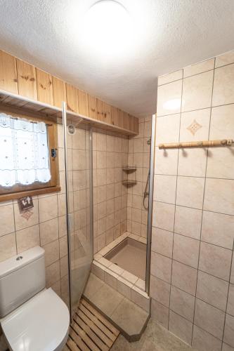 une salle de bain avec douche et toilettes dans l'établissement Chalet d'alpage Le Lauzeron, à Aiguilles