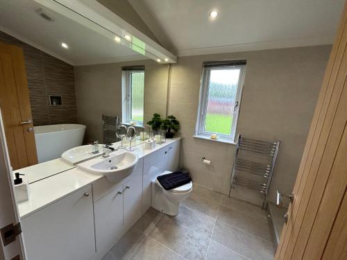 a bathroom with a sink and a toilet and a mirror at Relaxing Woodland Retreat in Eaton
