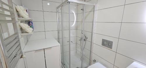 La salle de bains est pourvue d'une douche avec une porte en verre. dans l'établissement Eskan, à Istanbul