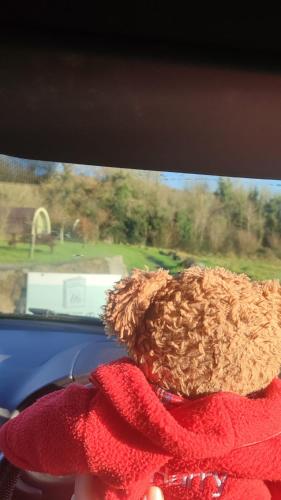 a teddy bear in a red dress looking out a car window at Glamping Pod Thady Killynick County Fermanagh in Enniskillen