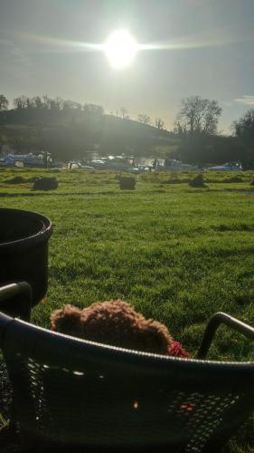 a teddy bear laying in a chair in a field at Killynick Glamping Oiney Fishing County Fermanagh in Enniskillen