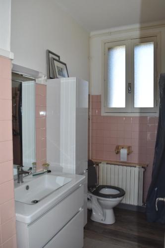 uma casa de banho com um lavatório branco e um WC. em Le pied-à-terre du botaniste em Hauteville-Lompnes