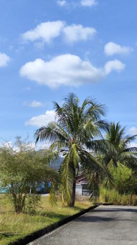 a palm tree on the side of a road at Yamad Homestay Langkawi in Kuah