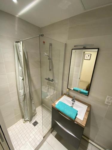 La salle de bains est pourvue d'une douche, d'un lavabo et d'un miroir. dans l'établissement Lyon Standing Historic City Apartment, à Lyon