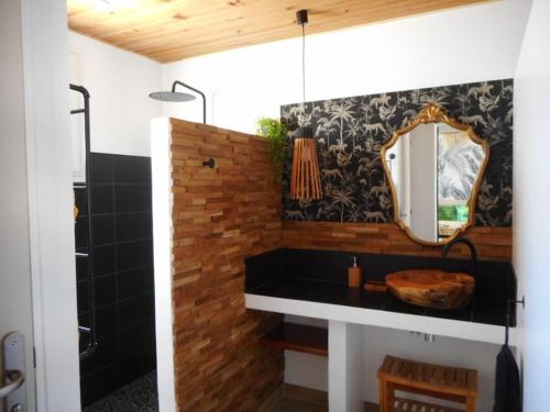 a bathroom with a sink and a mirror at Maison 3 étoiles , proche plages, Cotinière, & St Pierre in La Cotinière