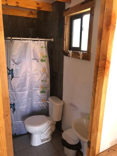 a bathroom with a toilet and a sink at Vista Mahuida casa 2 in Icalma
