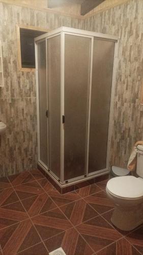 uma casa de banho com um chuveiro e um WC. em Cabañas XILETOUR em Freire