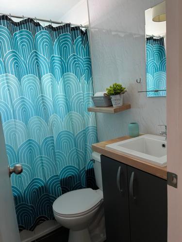 a bathroom with a toilet and a shower curtain at Casa Entre Glaciares in Puerto Natales