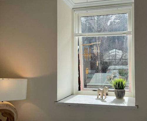 a window sill with a figurine and a potted plant at Designer Unit -Center of Town of Telluride, steps to Gondola and town park in Telluride