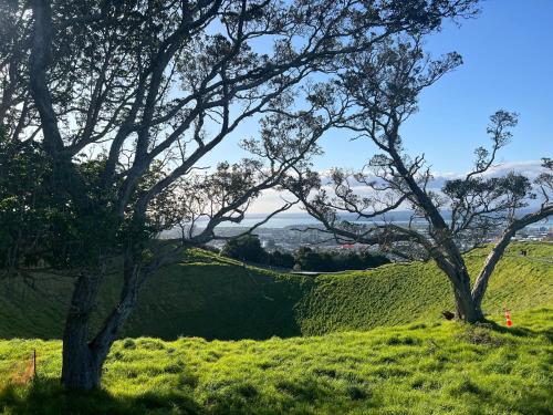two trees on a grassy hill with a fence at Luxurious & Spacious Living with Breathtaking Views in Auckland