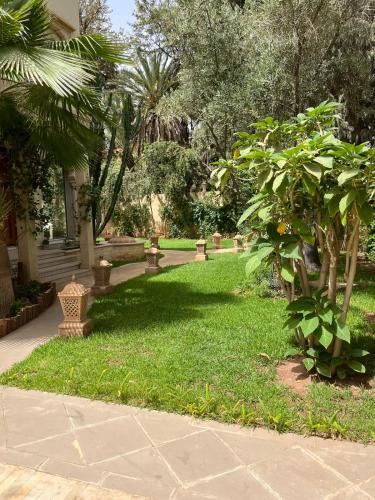 a garden with a lawn with trees and plants at Barthélemy Guest House in Marrakech