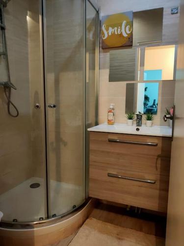 une salle de bain avec douche et lavabo dans l'établissement Appartement à 10 min d'Orly/ 15min de Paris, à Juvisy-sur-Orge