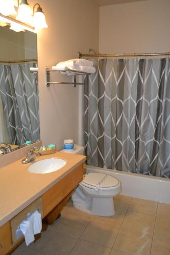 a bathroom with a sink and a toilet and a shower at Anaco Bay Inn in Anacortes
