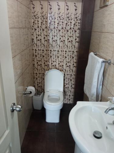 Baño pequeño con aseo y lavamanos en Casa villa Eru, en Pisco