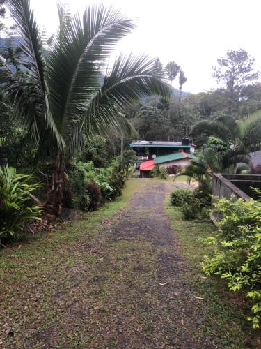 a dirt road with palm trees and a building at Hamadhi guest in Haldummulla