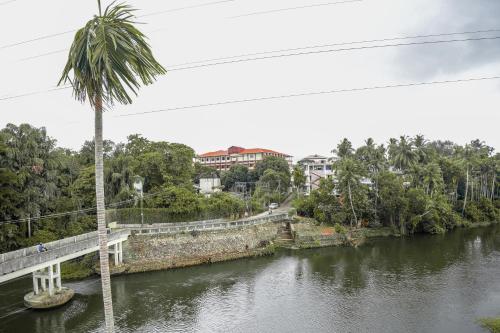 a palm tree and a bridge over a river at HOTEL LETS STAY in Ernakulam