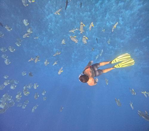a man in the water with a group of fish at Fiyavalhu Resort Maldives in Mandhoo