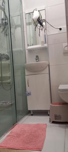 La salle de bains est pourvue d'un lavabo, d'une douche et d'un miroir. dans l'établissement Sun, à Tbilissi