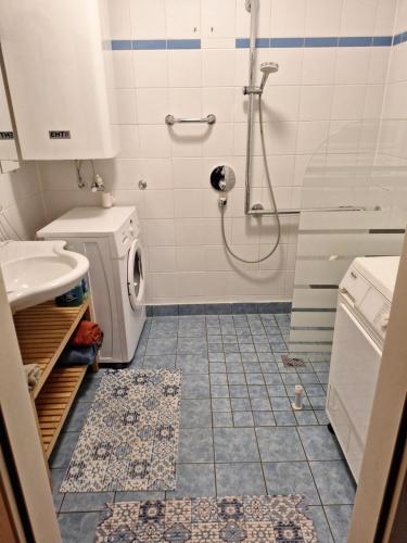 La salle de bains est pourvue d'une douche et d'un lave-linge. dans l'établissement Ferienwohnung, à Erlauf
