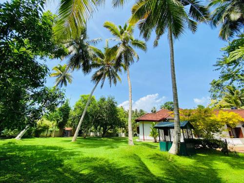 trawnik z palmami przed domem w obiekcie Terance Bungalow w mieście Kosgoda