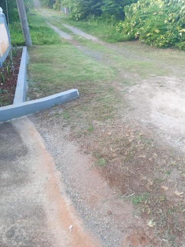 a baseball bat laying on the side of a road at Cozy Guest Room in Port Antonio