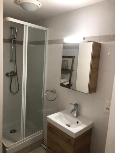 une salle de bain avec une douche, un lavabo et un miroir dans l'établissement Logement centre ville d'Epernay avec parking privé, à Épernay