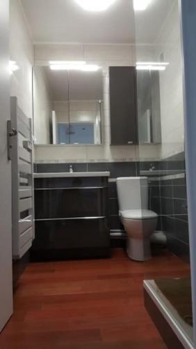 une salle de bain avec toilettes, lavabo et miroir dans l'établissement Gagny hyper centre, proche RER, Grand studio tout équipé, à Gagny
