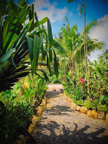 a path through a garden with palm trees and plants at The Ohm Siargao Resort in General Luna