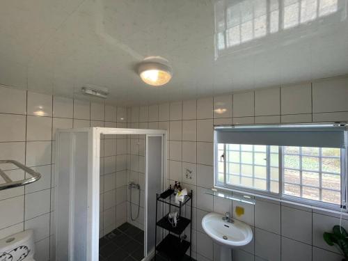 信義鄉的住宿－GO比爾，一间带水槽、卫生间和镜子的浴室