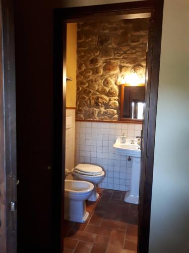 a bathroom with a toilet and a sink at Agriturismo Podere San Lorenzo 1866 in Massa Marittima