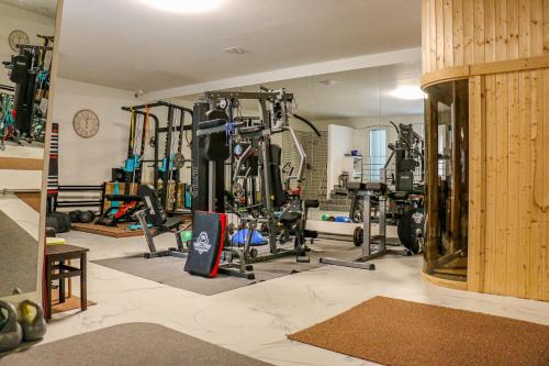 a gym with lots of equipment in a room at Penzion Kotvas in Milovice