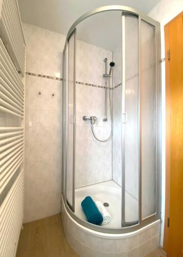 a shower with a glass door in a bathroom at Süderhaus Hiddensee App 3 in Neuendorf