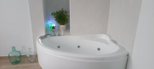 a white bath tub in a white bathroom with a plant at El susurro del tajo La ermita in Toledo