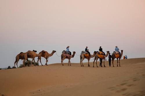 a group of people riding on camels in the desert at Nomads heaven desert camp jaisalmer in Jaisalmer