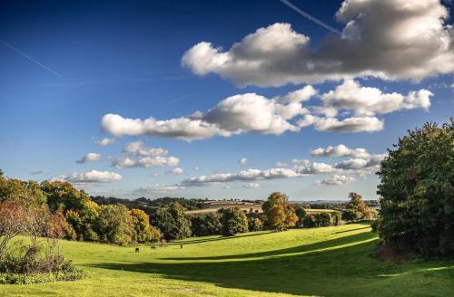 a green field with trees and clouds in the sky at Whitedown in Alton