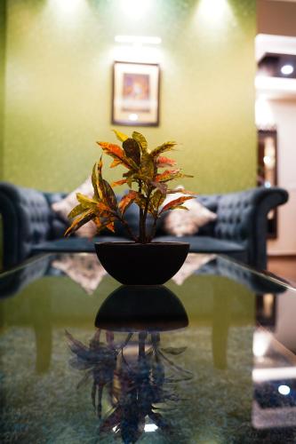 a plant sitting on top of a glass table at The Vaishnavi in Deoghar