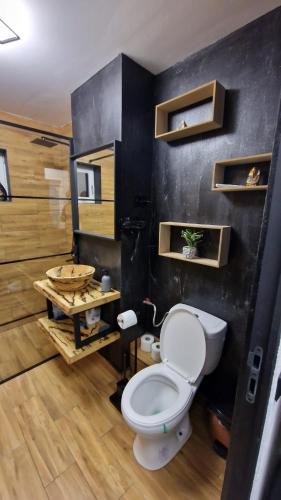 a bathroom with a white toilet and a black wall at Apartamentul ALEX in Lupeni
