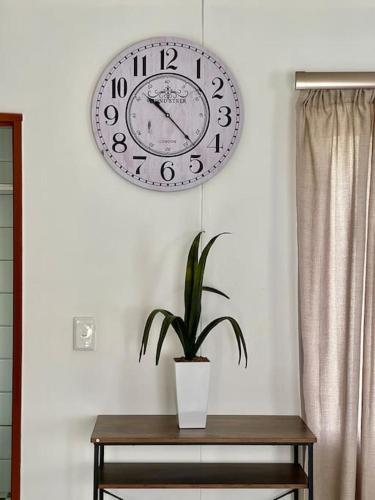 eine Uhr, die an einer Wand über einer Topfpflanze hängt in der Unterkunft Luxury 1 Bdr Garden Cottage in Windhoek