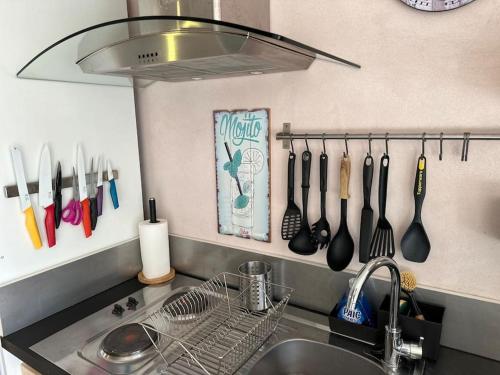eine Küche mit einem Waschbecken und Küchenutensilien an der Wand in der Unterkunft Gîte Mas La clé d’ailleurs in Lapalud