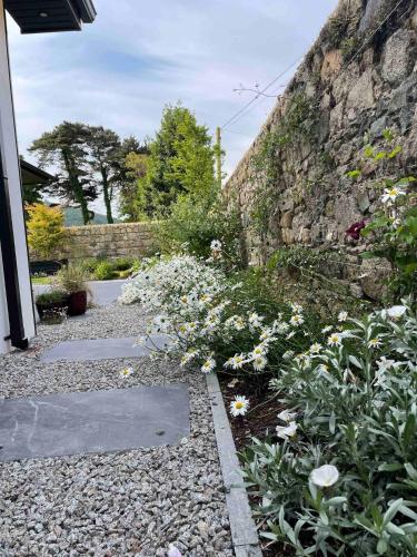 a garden with flowers next to a stone wall at New build eco house in walled garden, Rostrevor in Rostrevor