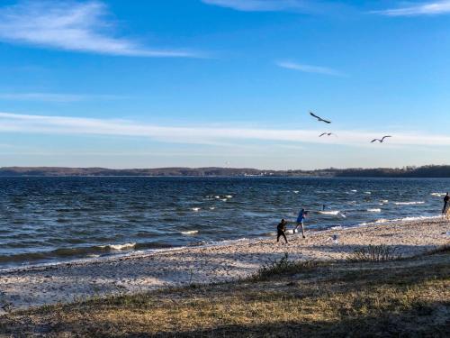 zwei Menschen am Strand mit Vögeln über dem Wasser in der Unterkunft Ferienhaus Seepferd in Holnishof