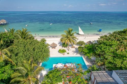 an aerial view of a beach and the ocean at Alma Boutique Hotel in Jambiani
