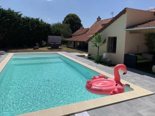 a swimming pool with a pink swan in the water at Maison Piscine et Jacuzzi in Saint-Germain-des-Fossés