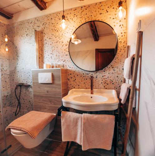 a bathroom with a sink and a mirror at Stancija Negričani in Divšići